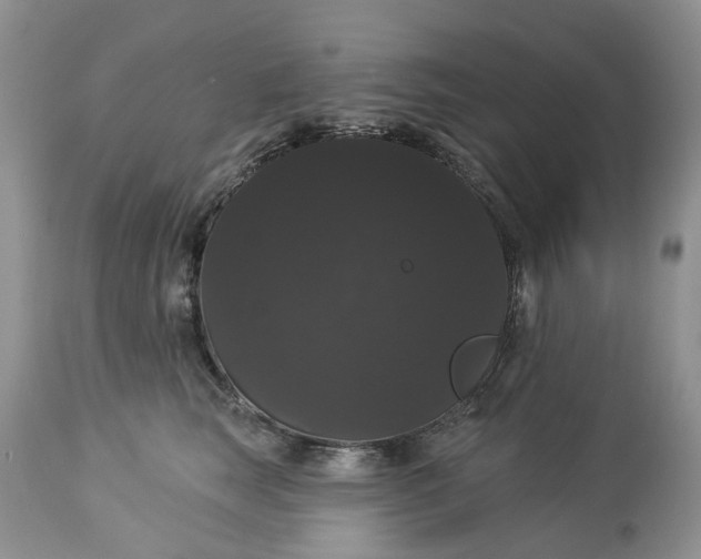 X0000113060663200909110916