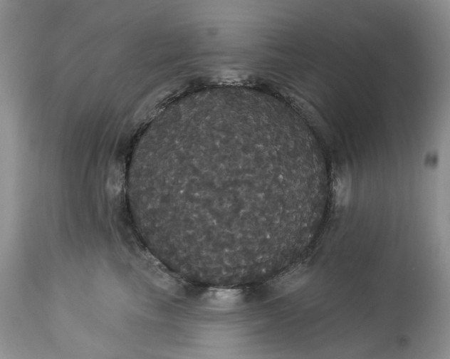 X0000113060665200909110916