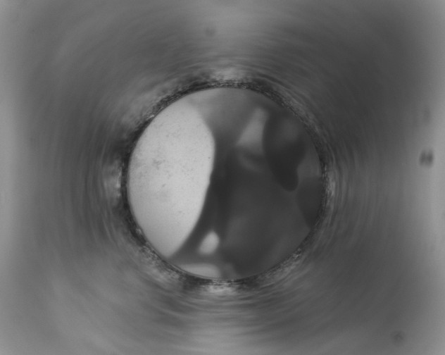 X0000113060668200909110916