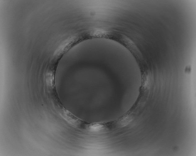 X0000113060669200909110917