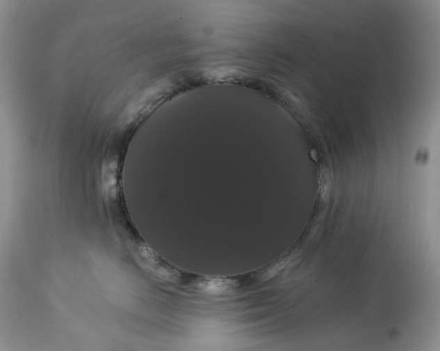 X0000113060670200909110917