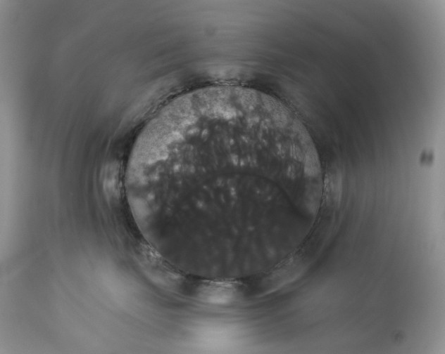 X0000113060671200909110917