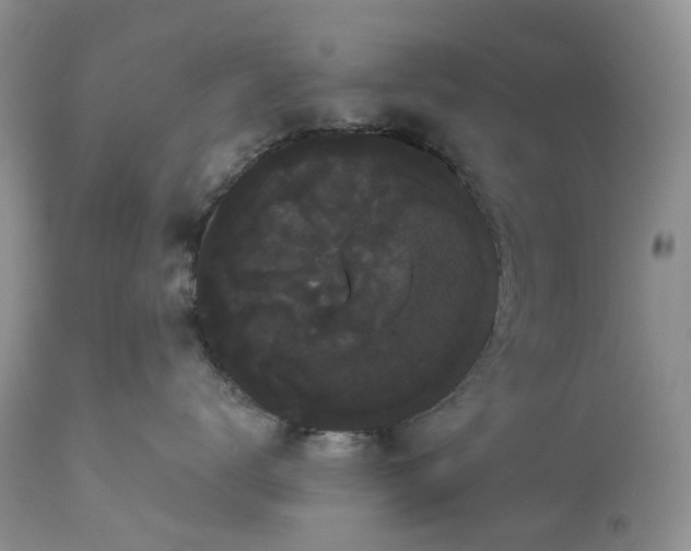 X0000113060672200909110917