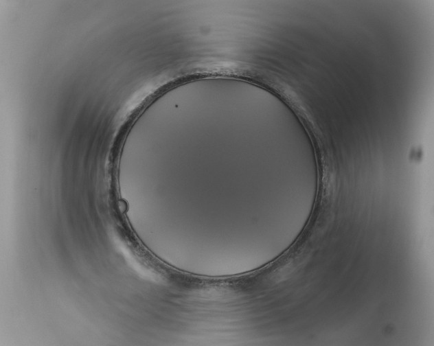 X0000113060674200909110916