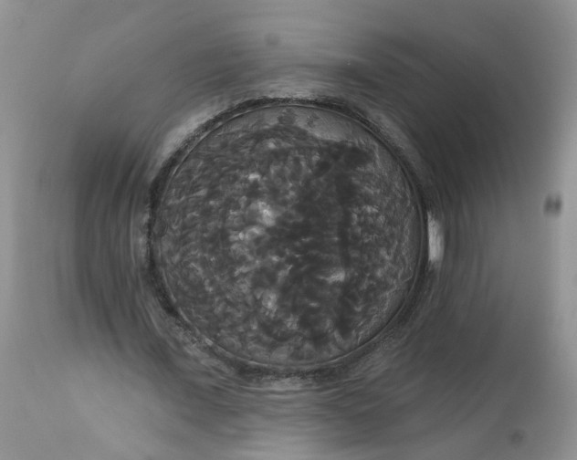 X0000113060675200909110916