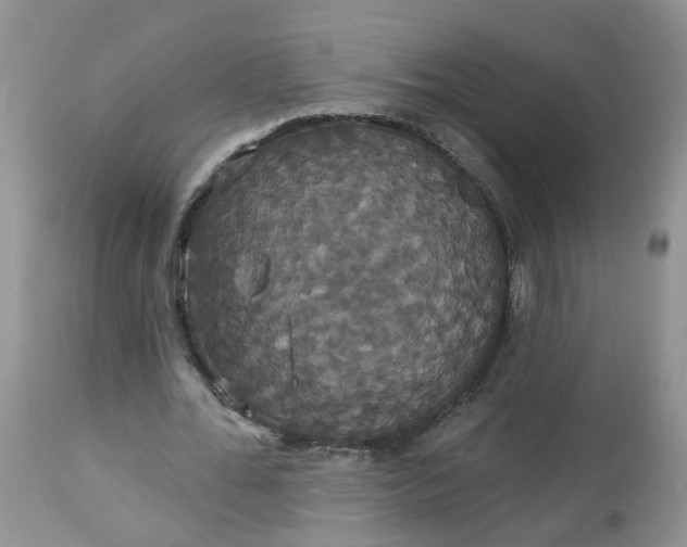 X0000113060676200909110916