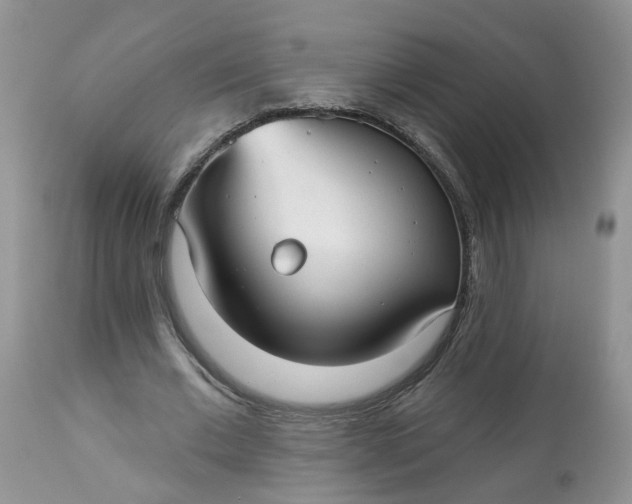X0000113060677200909110916