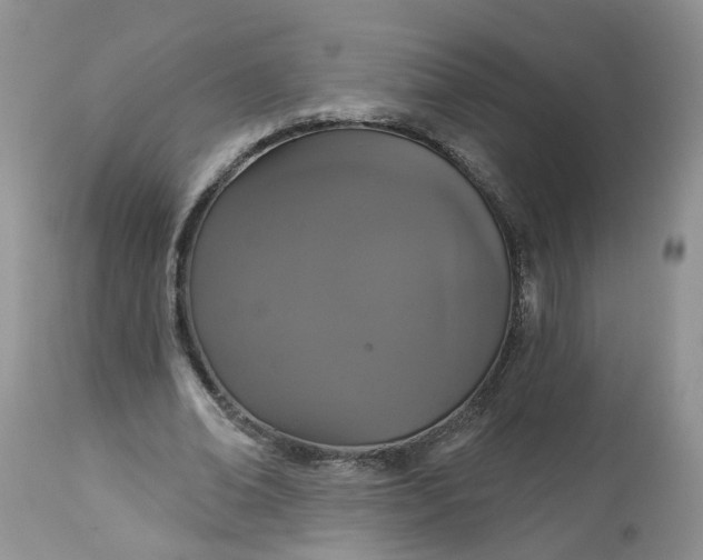 X0000113060678200909110916