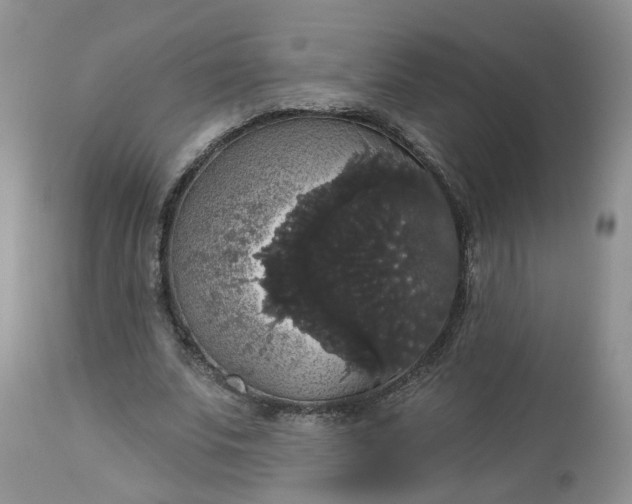 X0000113060679200909110916