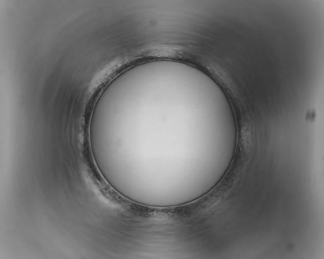 X0000113060682200909110916