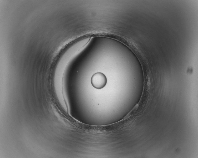 X0000113060684200909110916