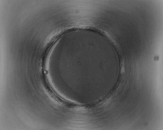 X0000113060685200909110916