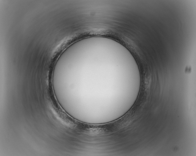 X0000113060686200909110916