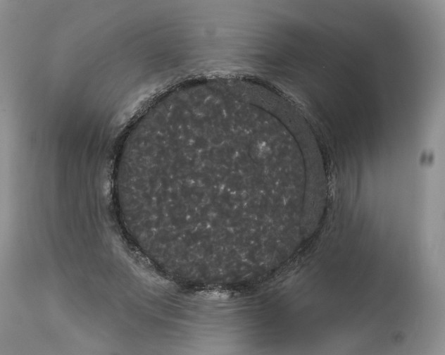 X0000113060687200909110916
