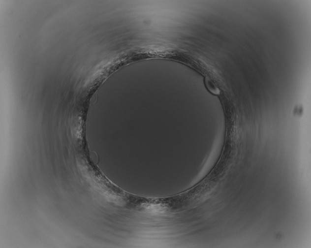 X0000113060689200909110915