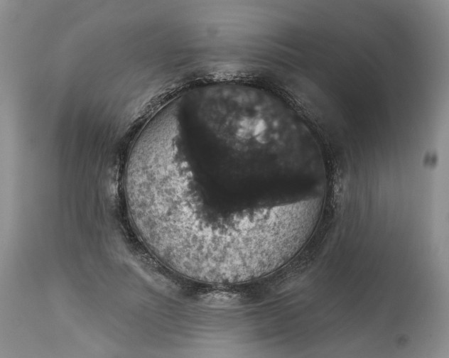 X0000113060691200909110915