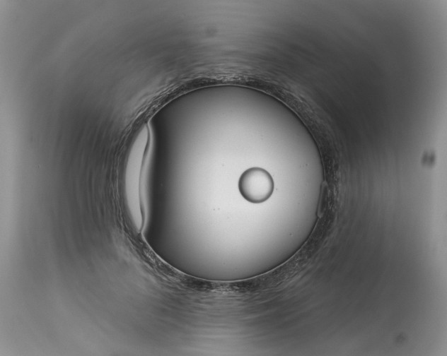 X0000113060696200909110915