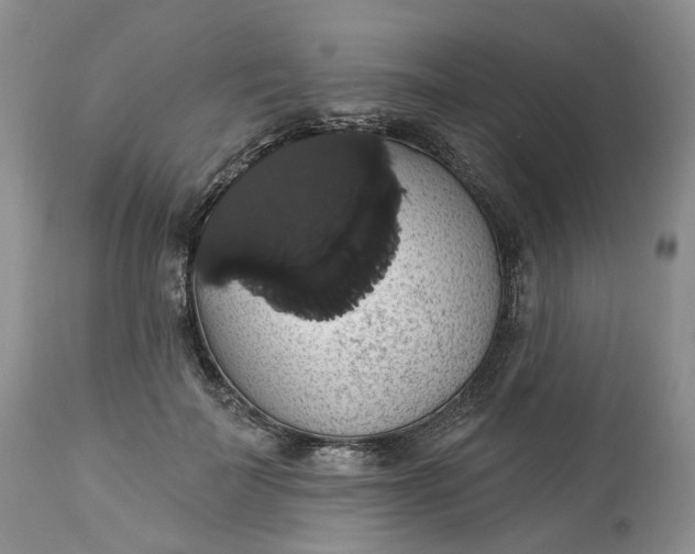 X0000113060699200909110915