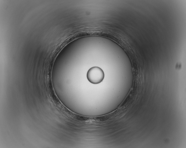 X0000113060700200909110915