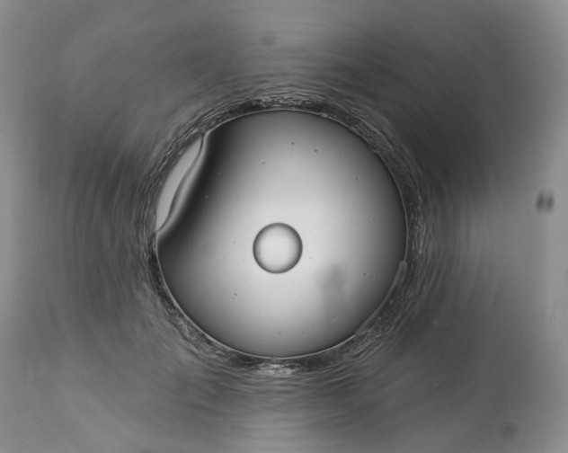 X0000113060701200909110915