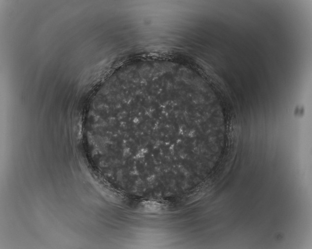 X0000113060703200909110915