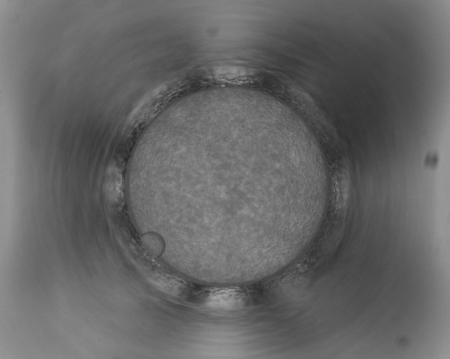 X0000113060705200909110915
