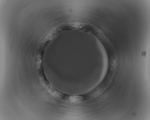 X0000113060707200909110915