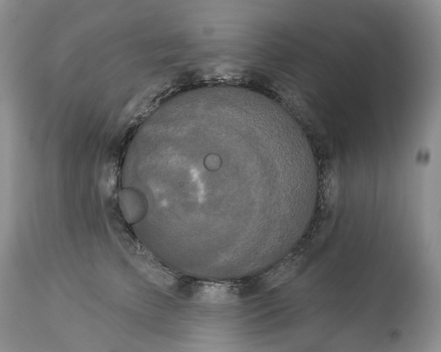 X0000113060709200909110915