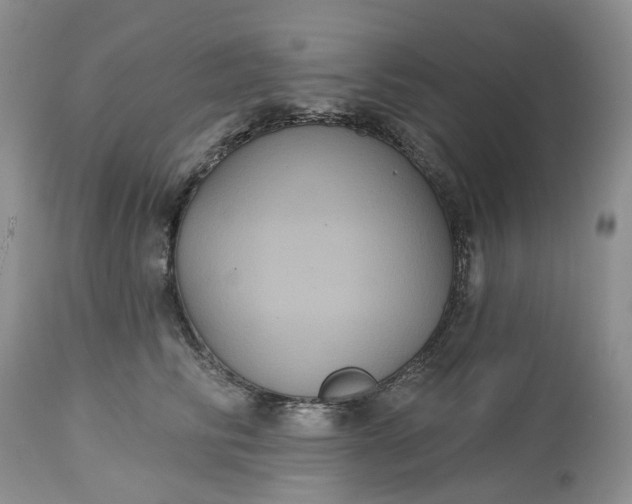 X0000113060710200909110915