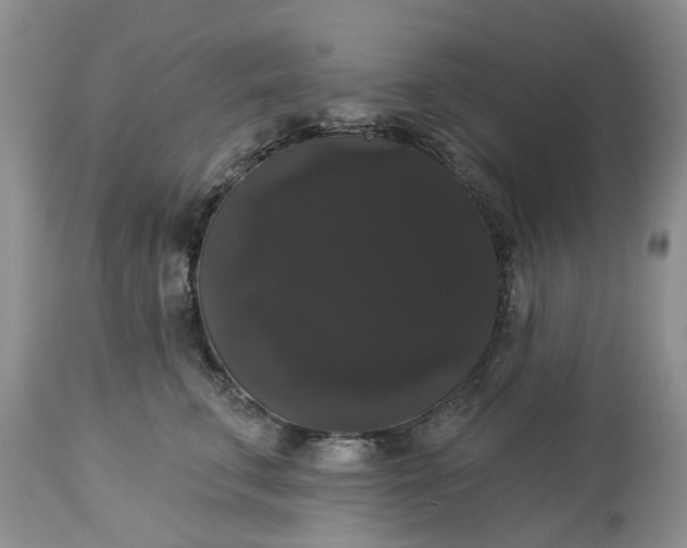 X0000113060711200909110915