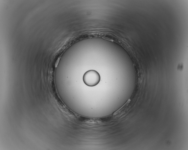 X0000113060712200909110915