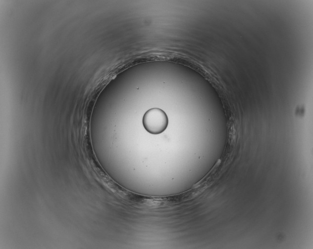 X0000113060713200909110915