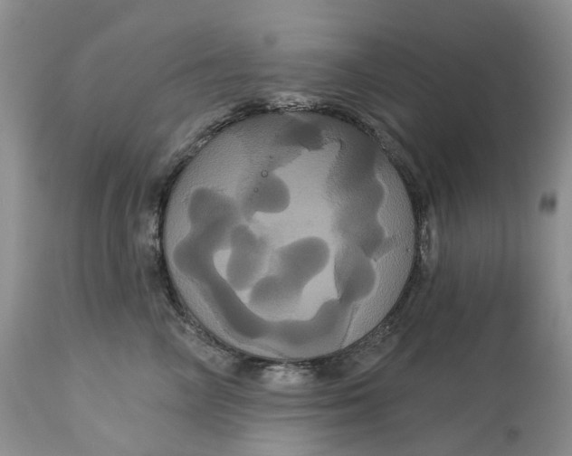 X0000113060714200909110915