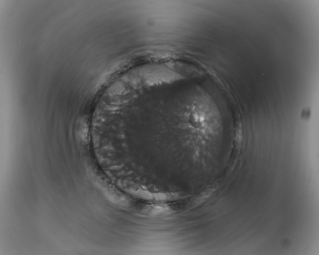 X0000113060715200909110915