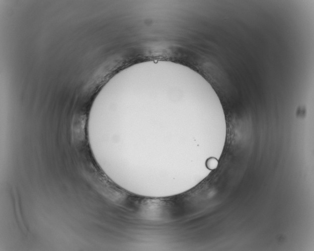 X0000113060717200909110915