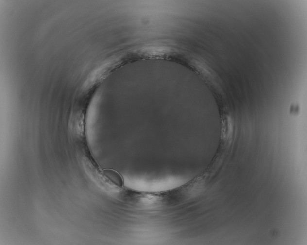 X0000113060718200909110915