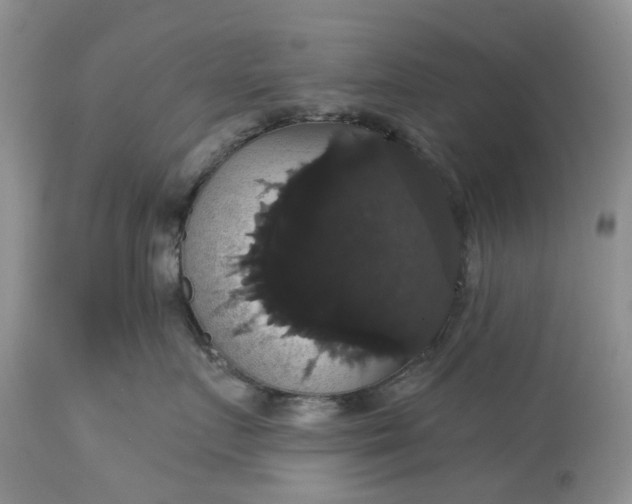 X0000113060719200909110915