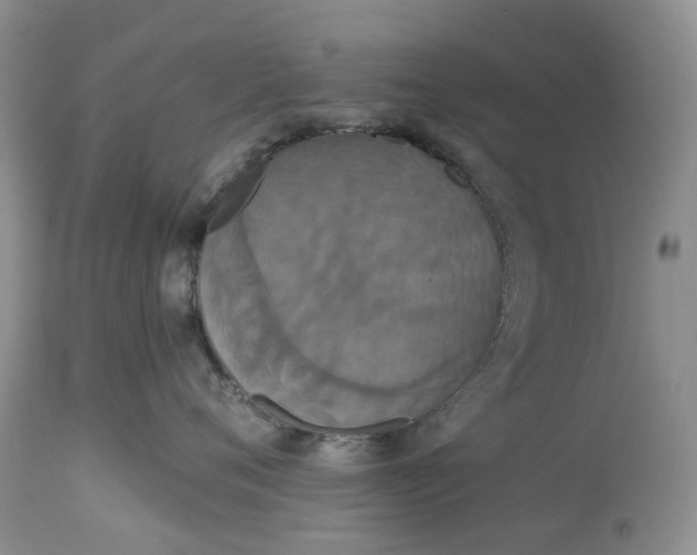 X0000113060720200909110915
