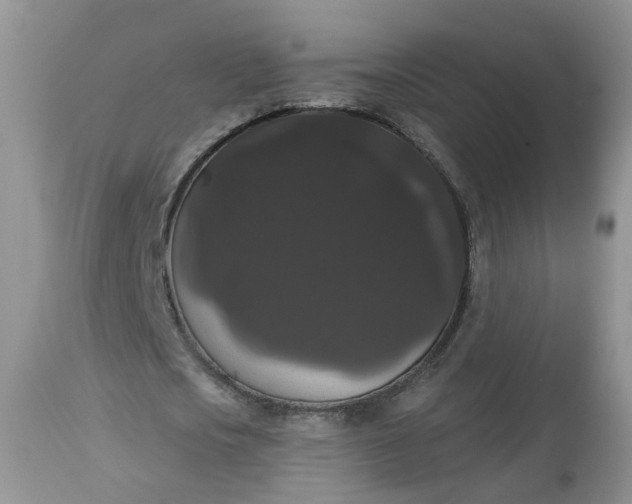 X0000113060721200909110914