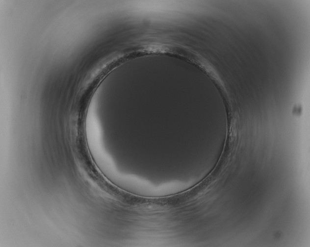 X0000113060722200909110914