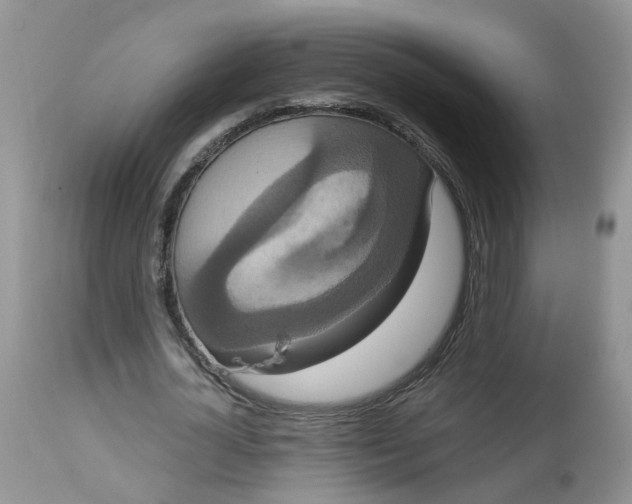 X0000113060724200909110914