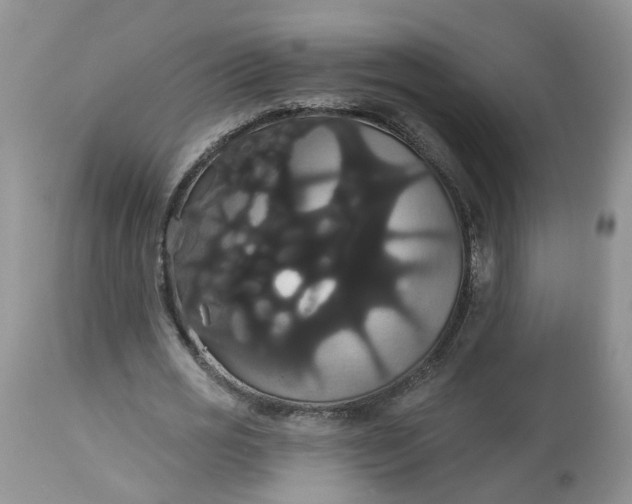 X0000113060725200909110914