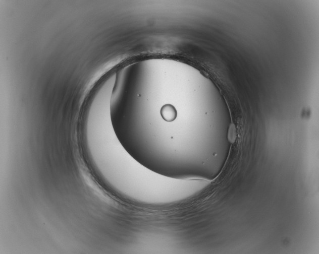 X0000113060726200909110914
