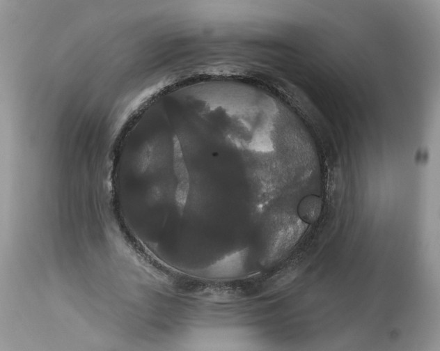 X0000113060727200909110914