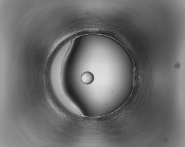 X0000113060728200909110914