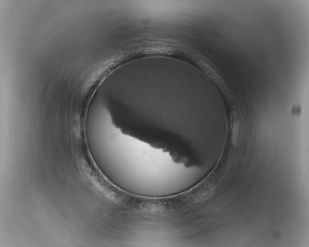 X0000113060729200909110914