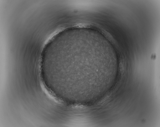 X0000113060730200909110914