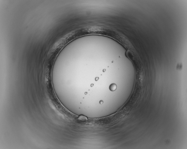 X0000113060732200909110914