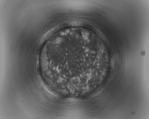 X0000113060733200909110914