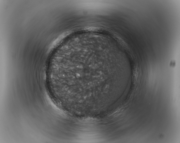 X0000113060734200909110914